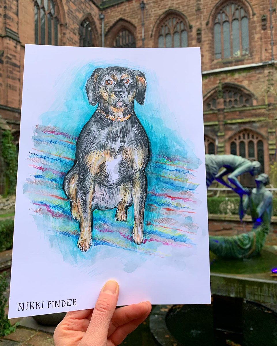 NikkiPinder's tweet photo. This is Reggie the Rottweiler. Photos taken in the @ChesterCath waterfall sculpture garden. I used watercolour pencil crayons for this and added water with a brush to create the blended effect.
#rorrweiler #rottweilers #dogportrait #dogportraits #chestercathedral #drawingdogs https://t.co/ZWE4nV9pMC