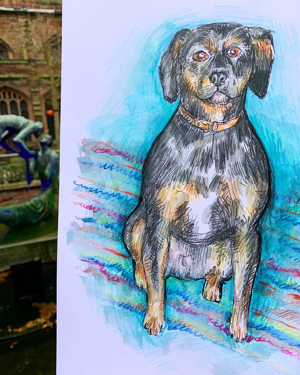 NikkiPinder's tweet photo. This is Reggie the Rottweiler. Photos taken in the @ChesterCath waterfall sculpture garden. I used watercolour pencil crayons for this and added water with a brush to create the blended effect.
#rorrweiler #rottweilers #dogportrait #dogportraits #chestercathedral #drawingdogs https://t.co/ZWE4nV9pMC