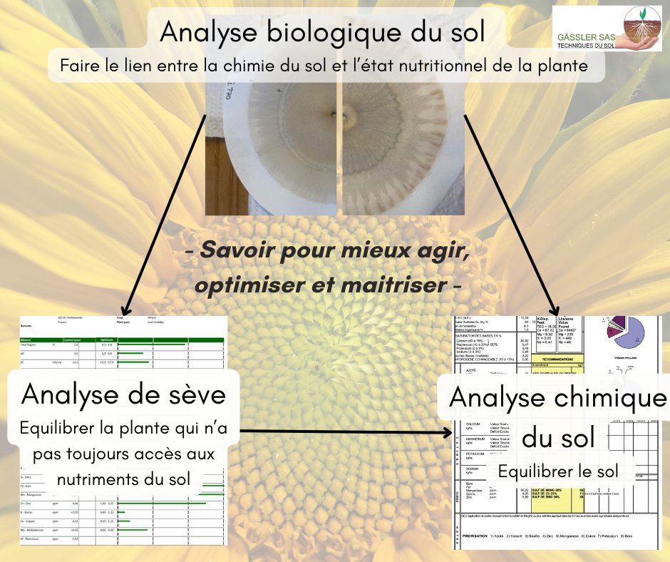 🔎 Notre gamme complète d'analyses
✅ Analyse chimique de sol Kinsey Albrecht: équilibre chimique du sol
🌾Analyse de sève: équilibre nutritionnel de la plante
✅ La chromatographie: biologie du sol
ℹ️gassler-techniquesdusol.fr/analyses
📧 mtgassler@gassler.fr