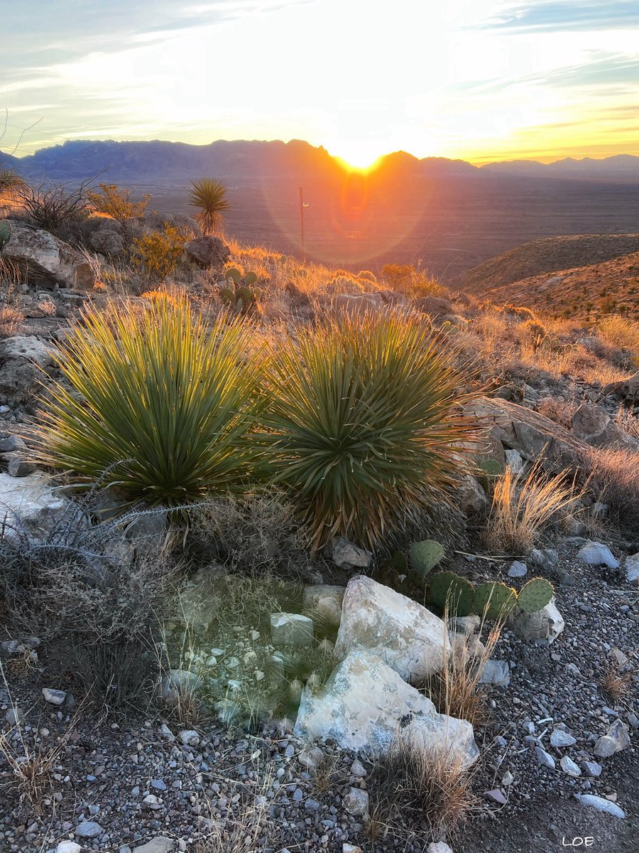 New Mexico Vibes tweet media