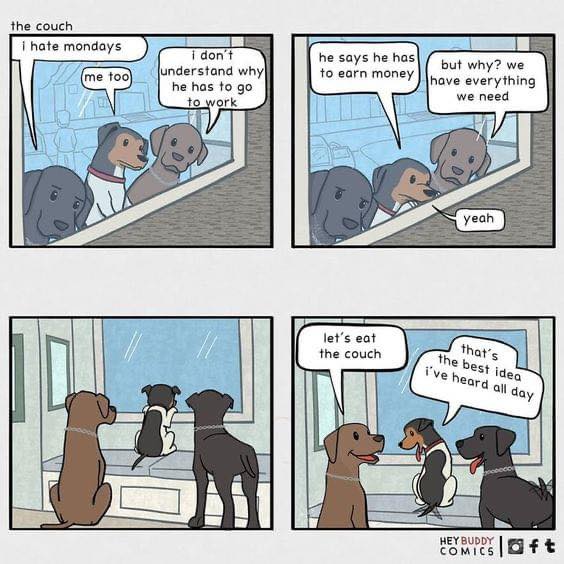 PetProductsllc's tweet photo. #Mondayvibes #Monday #Dog https://t.co/GkN0bdzIlu