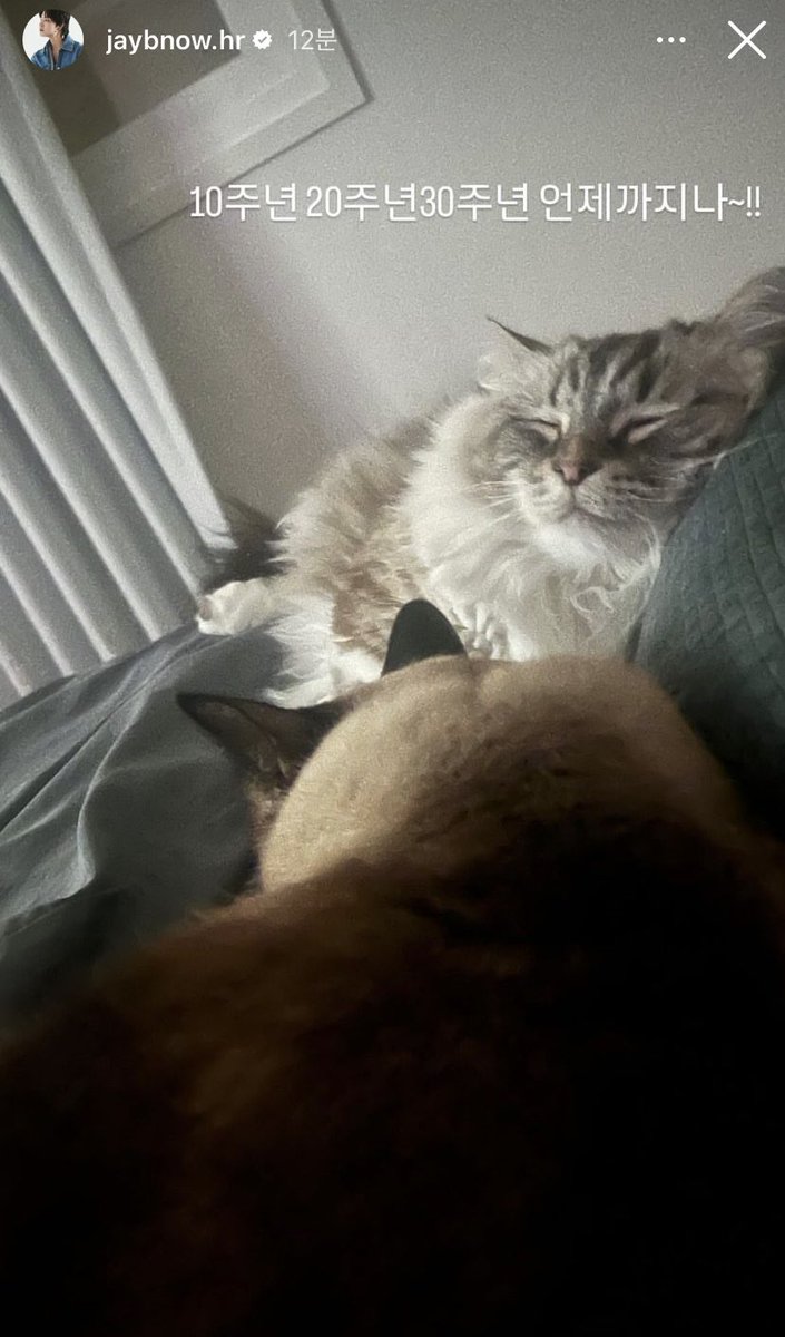 Rainy day • 🍀 l 가을 바람과 함께 🍂 tweet media