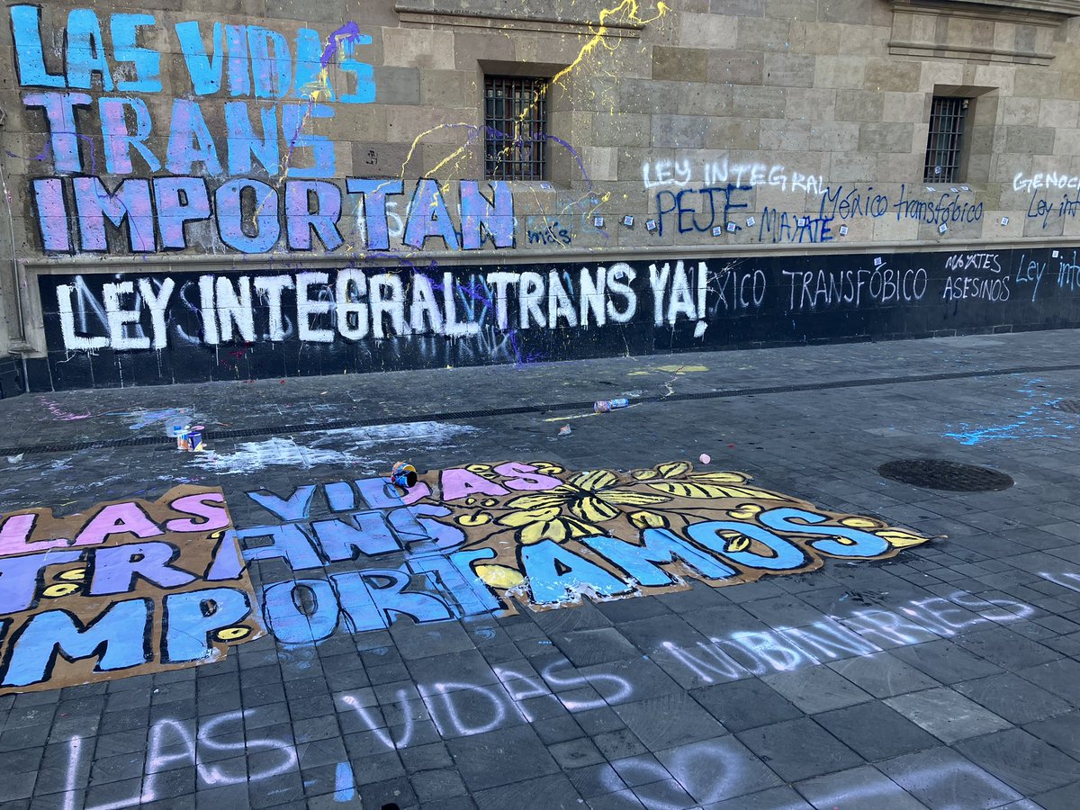 leincendiarie's tweet photo. No importa más un muro que las vidas 
No importa más un palacio que las vidas 
Las vidas trans importan y las no binaries también 🏳️‍⚧️⚧🔥 https://t.co/cwR4IqOrEC