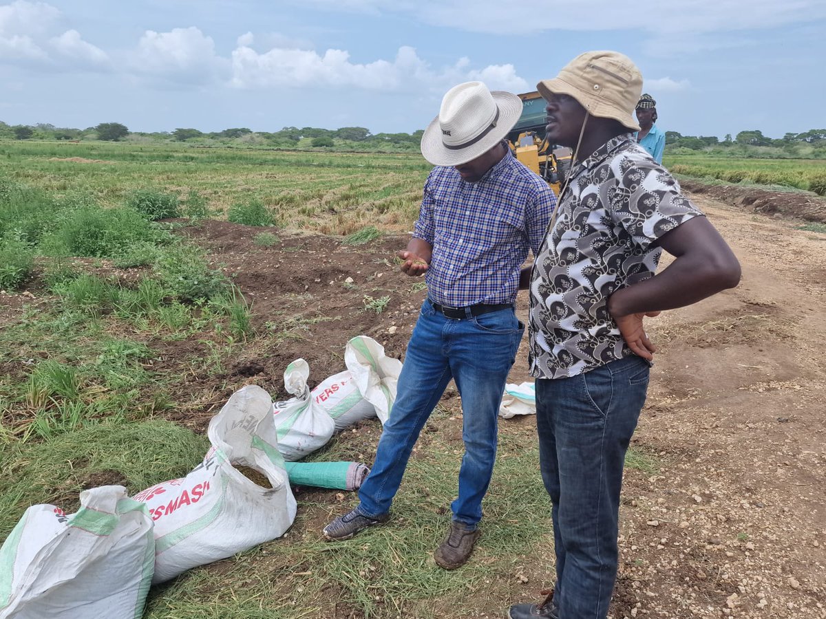 Roba_Liban_Duba's tweet image. 2: As we celebrate this milestone, I'm filled with optimism for the future of the #TanaDelta. The potential is vast, and with sustainable practices, the #TDIP Project is not just cultivating crops; it's cultivating a brighter, more resilient future. @TardaKE #DeliveringThePlan