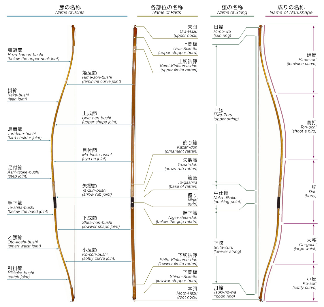 日本人は日の丸構図が好きらしい。西洋人は黄金比が好きらしい。正方形からは白銀比も作れる。一方で「弓」は和弓が黄金比に対して西洋弓は対称形が多い気がする。少ない知識で語ってるけど、ここは捉え方が反転してて面白い。 