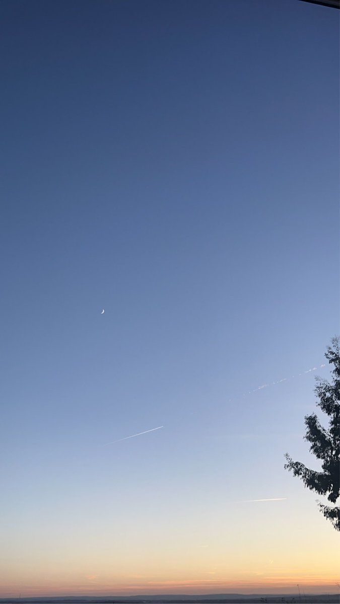 Ross Atkinson tweet media