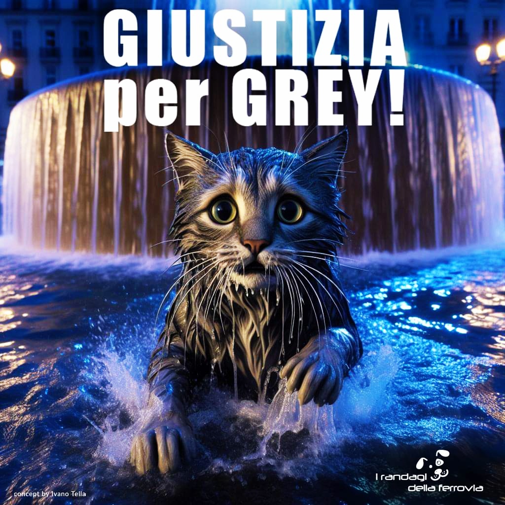 gianni_runco's tweet photo. Ovidio ‘La crudeltà verso gli animali è tirocinio della crudeltà contro gli uomini’. #grey #gatti #cani #palermo #pitbull #aron #animalrights #AnimalLovers #animalrescue #crueltyfree #violenza #magistratura @minGiustizia #alberobello #leone #Leone2 #vigliacchi #assassini https://t.co/7JjNZWeyTK