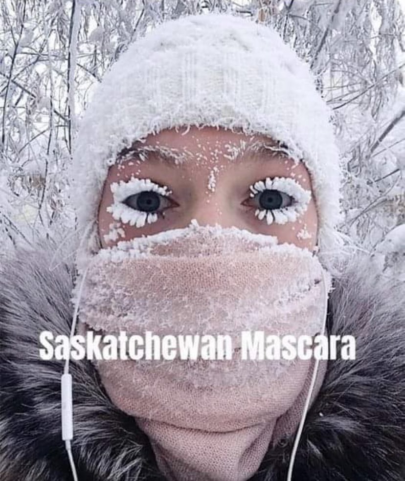 SandraMushale's tweet photo. Baby it’s Cold Outside ❄️🥶
O Canada our Home and Native Land! Alberta and Saskatchewan 🥶🥶🥶
#winter #Alberta #Saskatchewan 💙 https://t.co/yqLUuQfHuq
