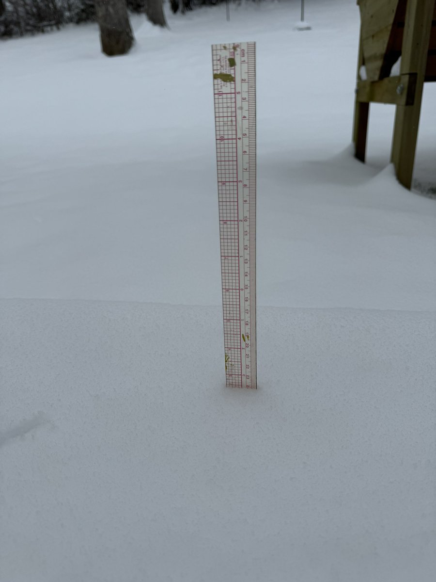 AshleyRied325's tweet photo. @NashSevereWx 2.5 inches in Goodlettsville (taken on concrete) https://t.co/7Qe3KJ9oVJ