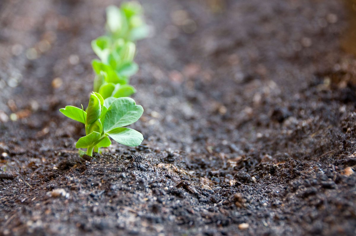 AgrauxineNA's tweet photo. Planting is just around the corner… here is your reminder to contact your local Agrauxine rep to discuss your 2024 plan.
To find a nearby sales rep, click here: https://t.co/UKmTlPmmrm https://t.co/FG8IlzSRVC