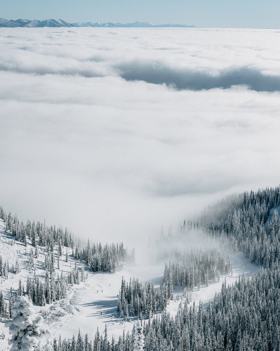 Justin D Kauffman tweet media