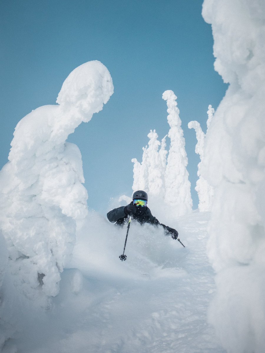 Justin D Kauffman tweet media