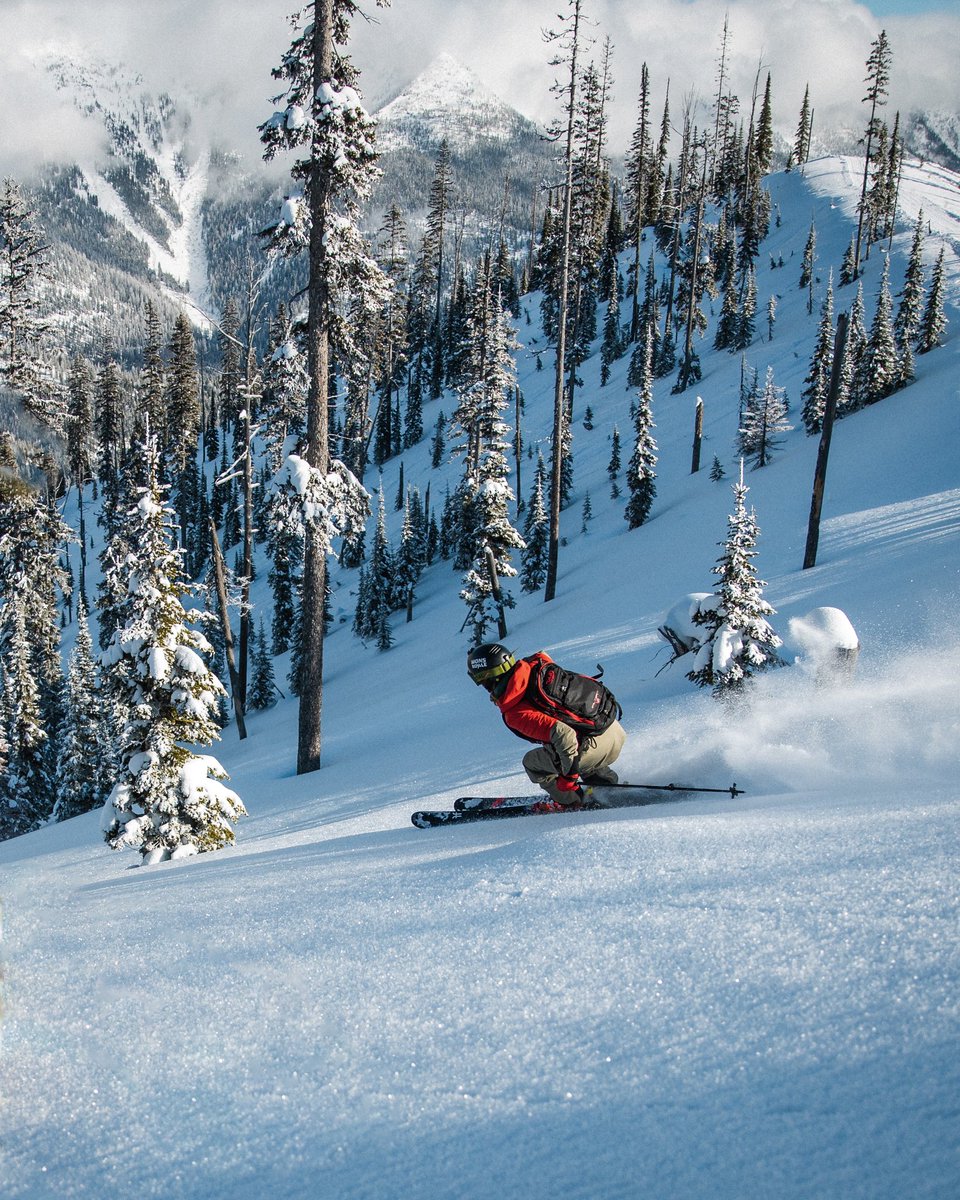 Justin D Kauffman tweet media