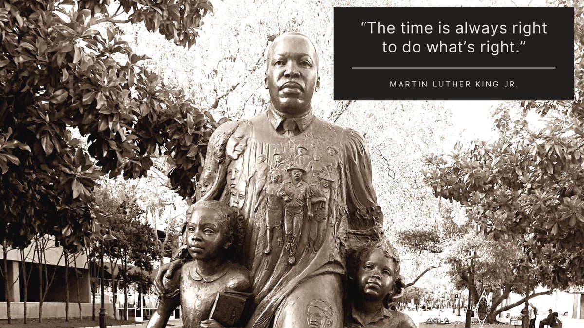 Satividol tweet media