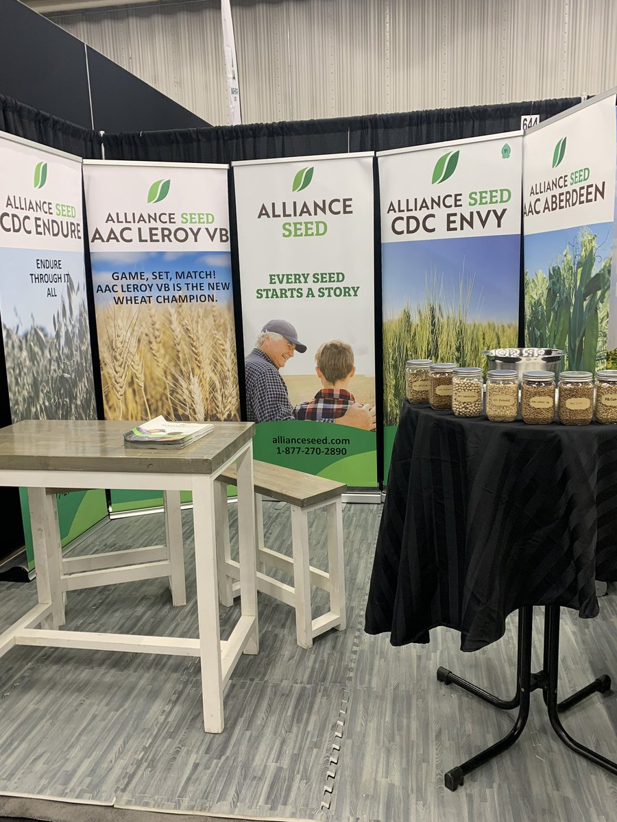AllianceSeed's tweet photo. Come see us at #AgDays24  this week in Brandon. We are here all week showcasing our variety line up for 2024 !!! Booth 644 in the curling rink. As well get entered to win an Alliance Seed cooler. #EverySeedStartsAStory https://t.co/NwhEE7Eu4v