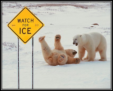 USSKIDD_DD661's tweet photo. The USS KIDD Veterans Museum will be closed on Tuesday (1/16/2024) due to anticipated icy conditions in the Baton Rouge area & potential road closures.
#WeatherEvent #FoulWeather #ice #snow #freezingtemperaturesโ๏ธ๐ฅถ #IcyDecks #SlippingHazard #FallHazard #SafetyFirst #Safety https://t.co/U4kM2piNJw
