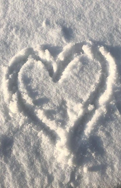 ˚꒰🐾꒱༘⋆ perritos con cáncer — 

hilo informativo. 
                                 
                            (a thread by 🪼)