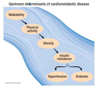 Boenau's tweet photo. "A review of 170 studies finds consistent evidence that people are less likely to be obese or have diabetes if they live in cities where walking and cycling is safe and convenient"

https://t.co/uWcI48AJO6 https://t.co/WxRFdxKPlW