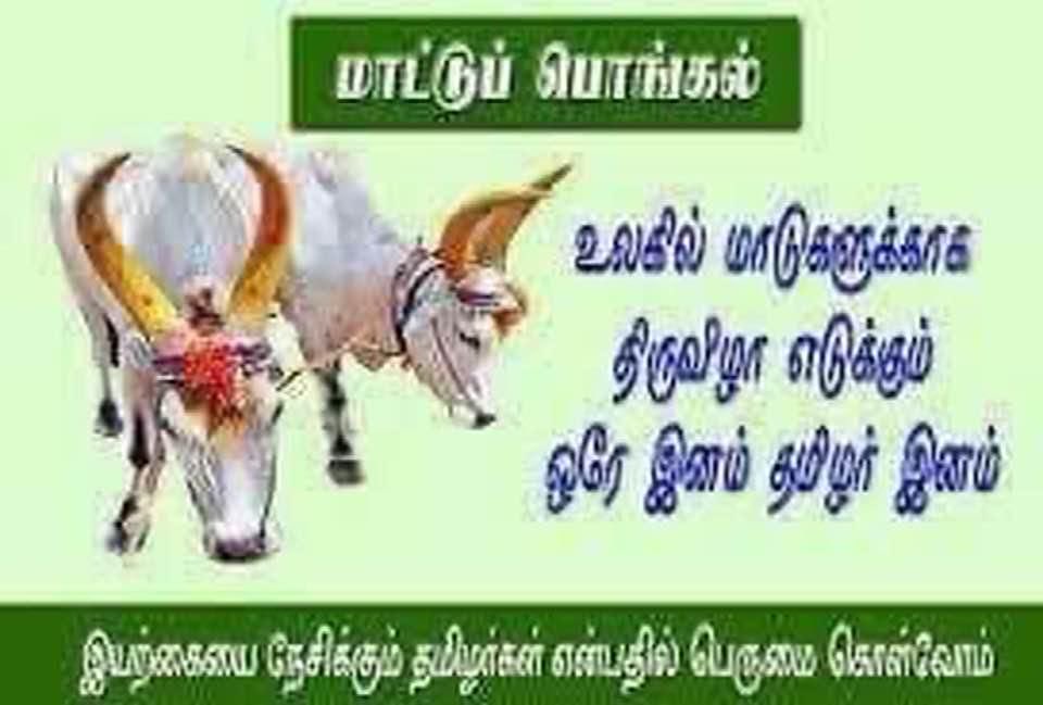 KrishnanManoha2's tweet photo. https://t.co/d9hZzFQ8Cz