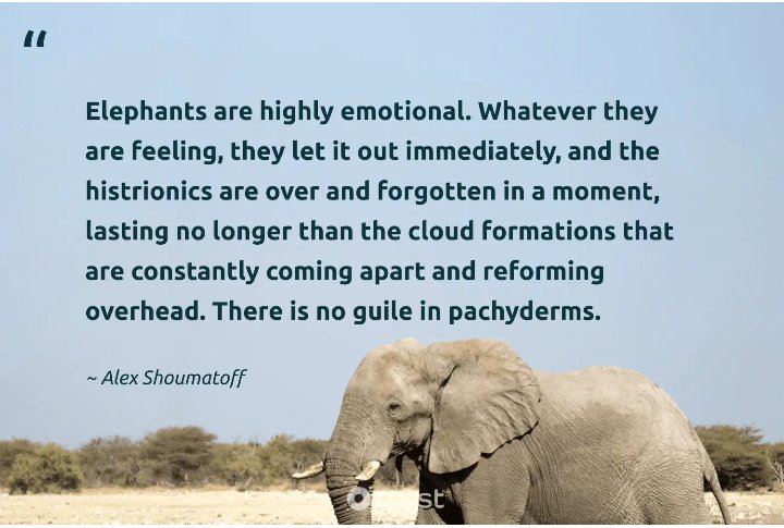 JulieKi53713414's tweet photo. 🌎 To ALL Animal Lover's

Like you I have a lot of soul-sadness because of UNNECESSARY pain &amp; suffering beautiful precious animal souls are FORCED to endure due to our #greed #selfishness #callousness.

I am grateful to know 💖MILLIONS💖 of you are here with me #ChangeIn2024 🙏🏽 https://t.co/n9SyArVVfd