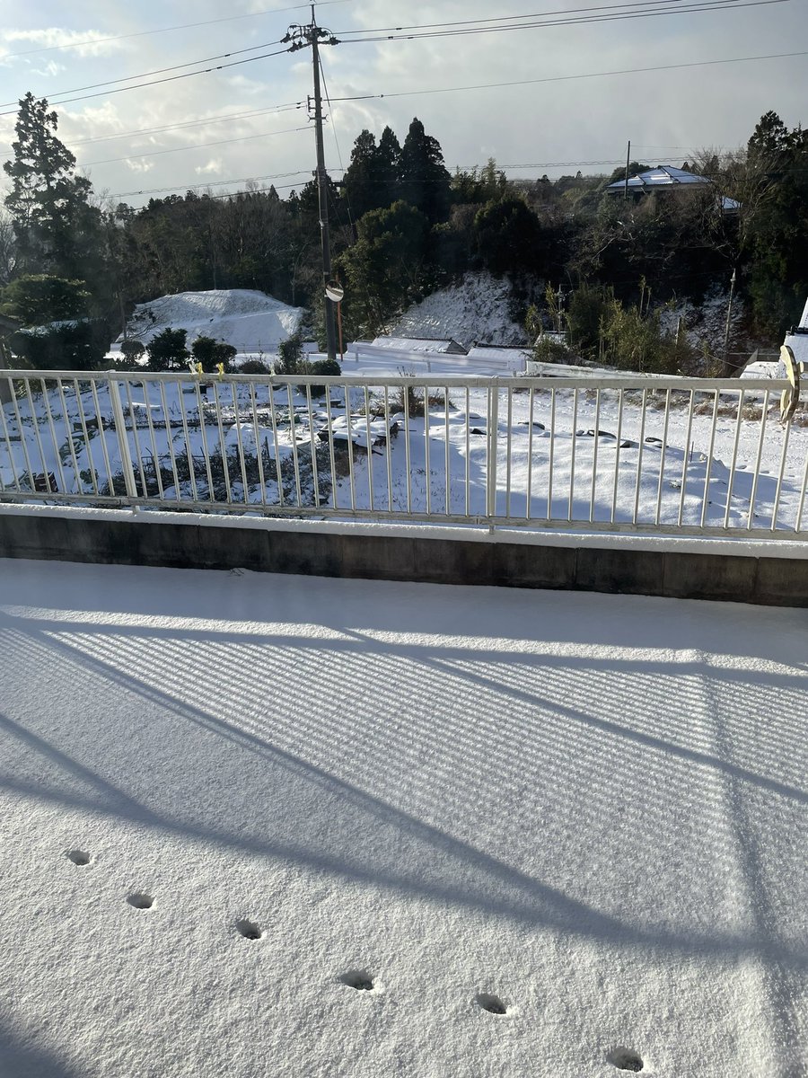 ⛄️💕たかみん🫠 tweet media