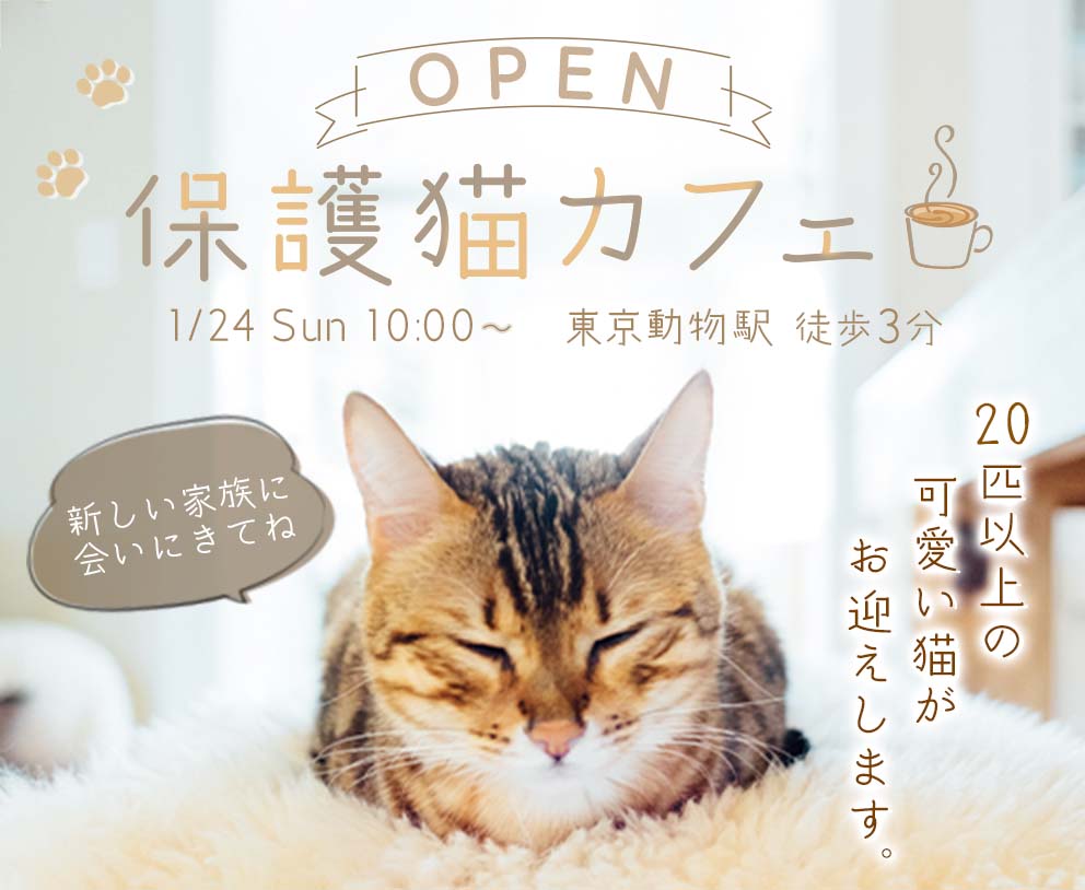 muchudesign's tweet photo. 【バナー制作】
#4. 保護猫カフェのオープンバナー
実案件を想定して作成してみました。
デザイナーの方、ぜひ良い点・改善点のフィードバックコメントを何卒、、！

▼依頼想定
バナー設置場所：地域の情報サイト
ターゲット：30代女性
イメージ：ベージュをベースに温かみのあるナチュラルな雰囲気 https://t.co/OSY0wigRPE