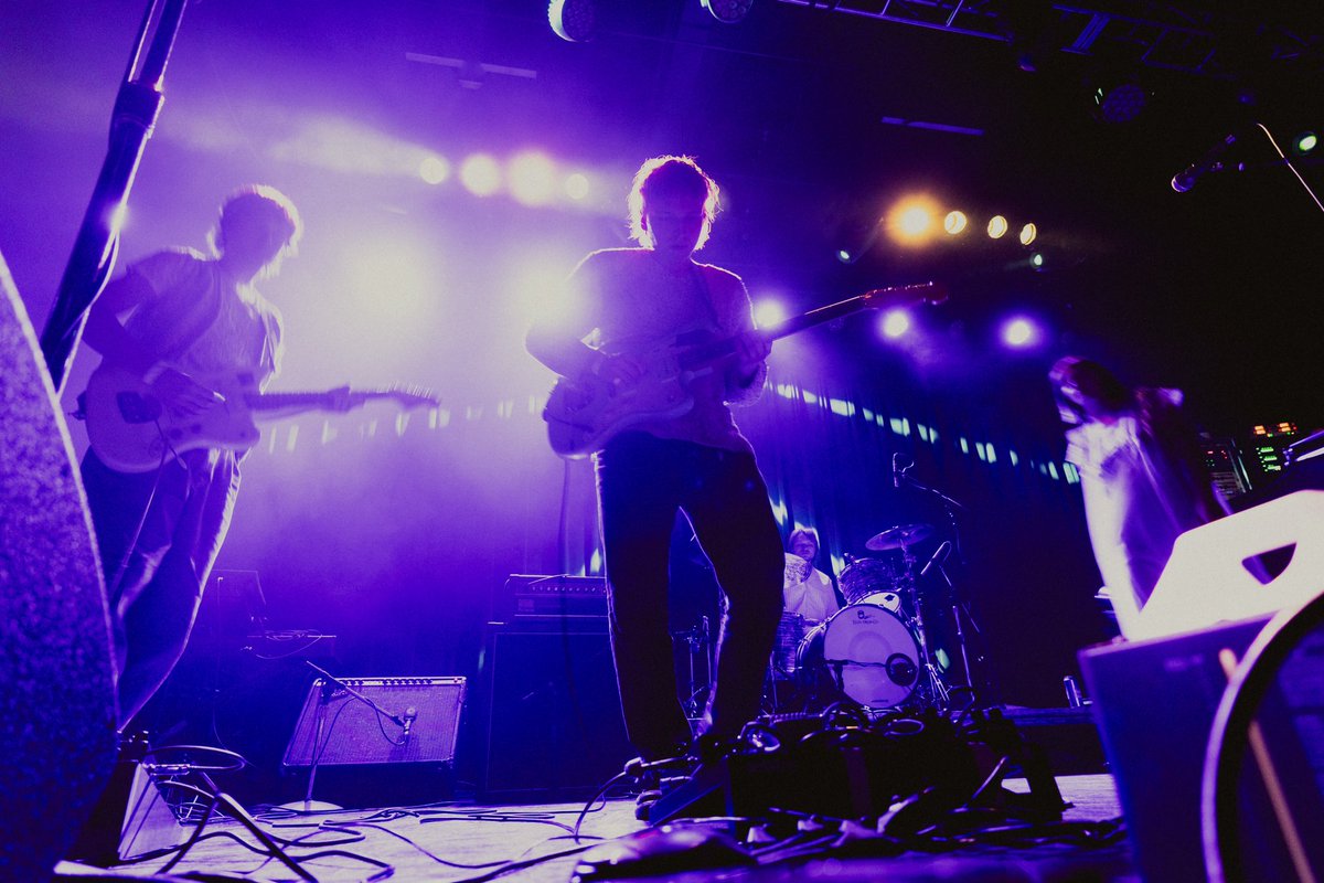 she’s green tweet media