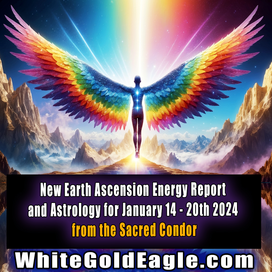 PaulGoldEagle's tweet photo. 🔥 New! on Patreon ~ New Earth Ascension Report and Astrology Reading for January 14 through the 20th 2024 from my Sacred Condor 🔥
https://t.co/YeAfRbKuwS
#newearth
#astrology
#suninaquarius
#plutoaquarius
#ageofaquarius
#meditation
#primedisclosure
#paulwhitegoldeagle https://t.co/BBey7Od72x