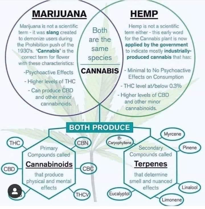 Don’t be scared! 💚🌱

Learn the differences and benefits of each. 
We are here to help you every step of the way!
#journeywithus