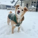 Photo by Kara Luton 🩰👩🏼‍💻 (@karaluton)