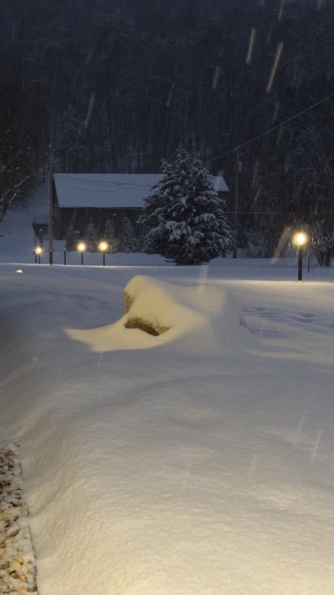 Terrie Winkle tweet media