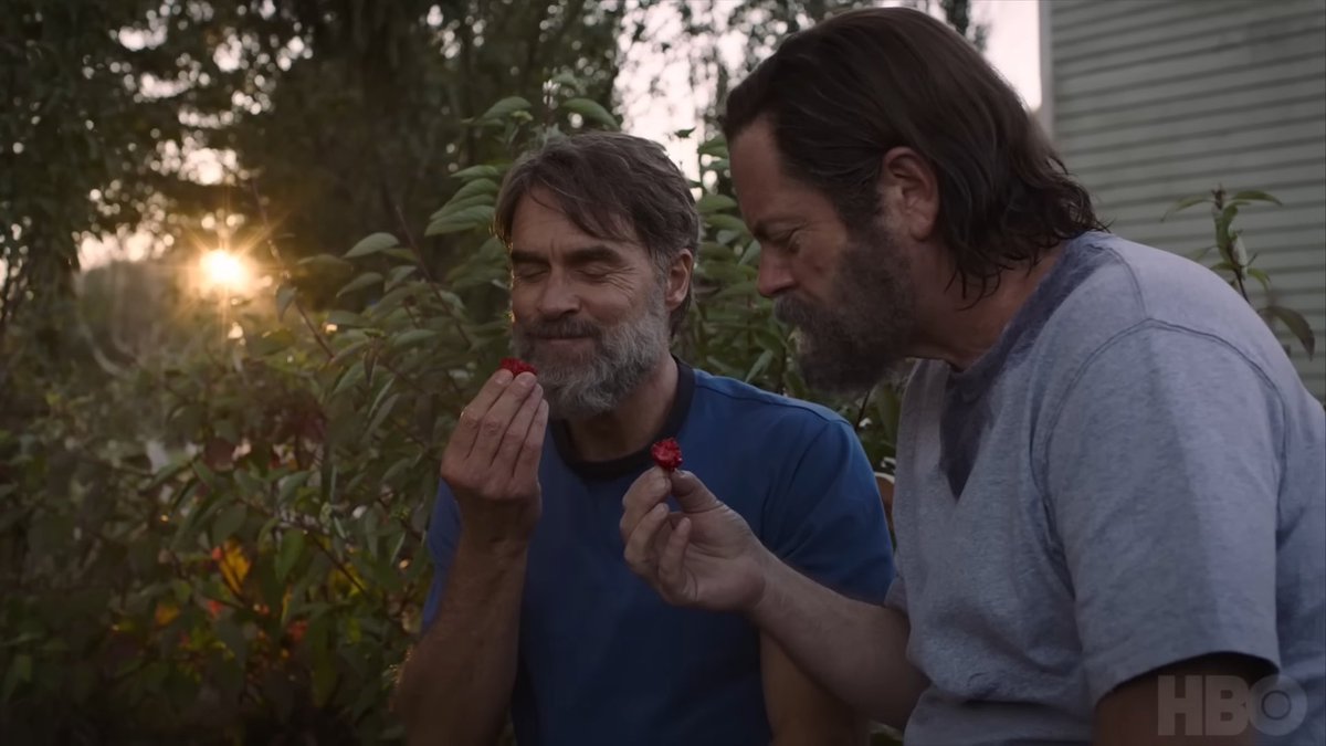 DiscussingFilm's tweet photo. 1 year ago today, ‘THE LAST OF US’ premiered on HBO. https://t.co/bW6W9RltV5