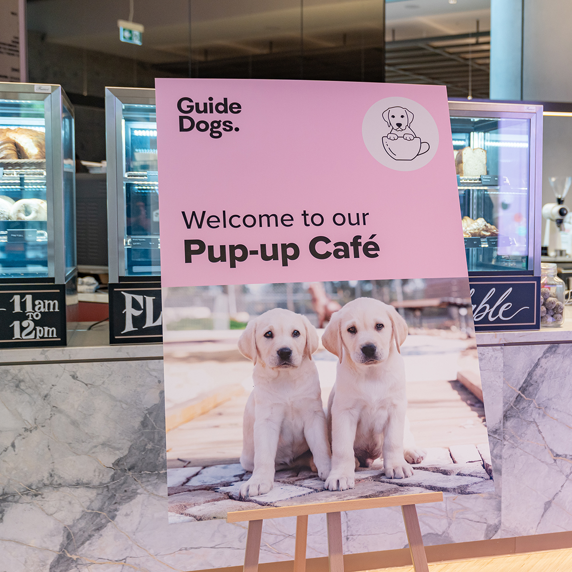 📅🦮☕️ #GuideDogs is opening a Pop-up Cafe on Jan 18 at #SydneyAirport to raise funds to support & train a litter of five puppies! 🫶
🎟️Tickets will be available on the day at Cafe Veloce (T2).
australiandoglover.com/2024/01/guide-…

#GuideDogsAustralia #GuideDogsNSW #puppycafe #labradorpuppies