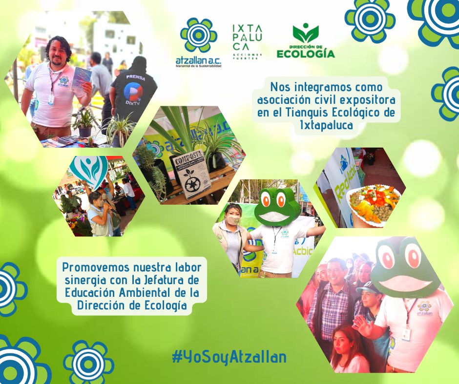 Atzallan's tweet photo. @Atzallan se integra en 2022 al #TianguisEcológico  #Ixtapaluca, para promover de forma permanente nuestra labor socioambiental y productiva.
#YoSoyAtzallan #EcologíaIxtapaluca #RedACBIC #AtzallanMeInspira 🍃👩‍🌾🪱🪴🐸🌎🍃 
🌐🍃 Más información en: https://t.co/OV8R9jWEAD https://t.co/tDUgugIbfo