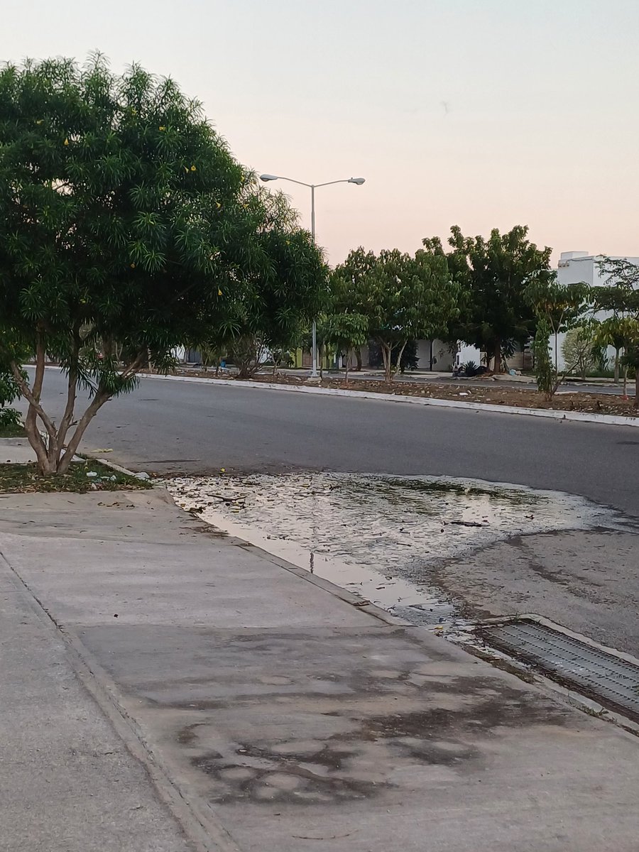 alemrivero's tweet photo. @JAPAYOficial Buenas tardes, hay una fuga de agua sobre la avenida y desconozco si alguien más ya hizo el reporte pero se los comparto. La dirección es calle 97 entre 138-A y 140 del fraccionamiento Los Héroes. https://t.co/LSxhnhBxbC