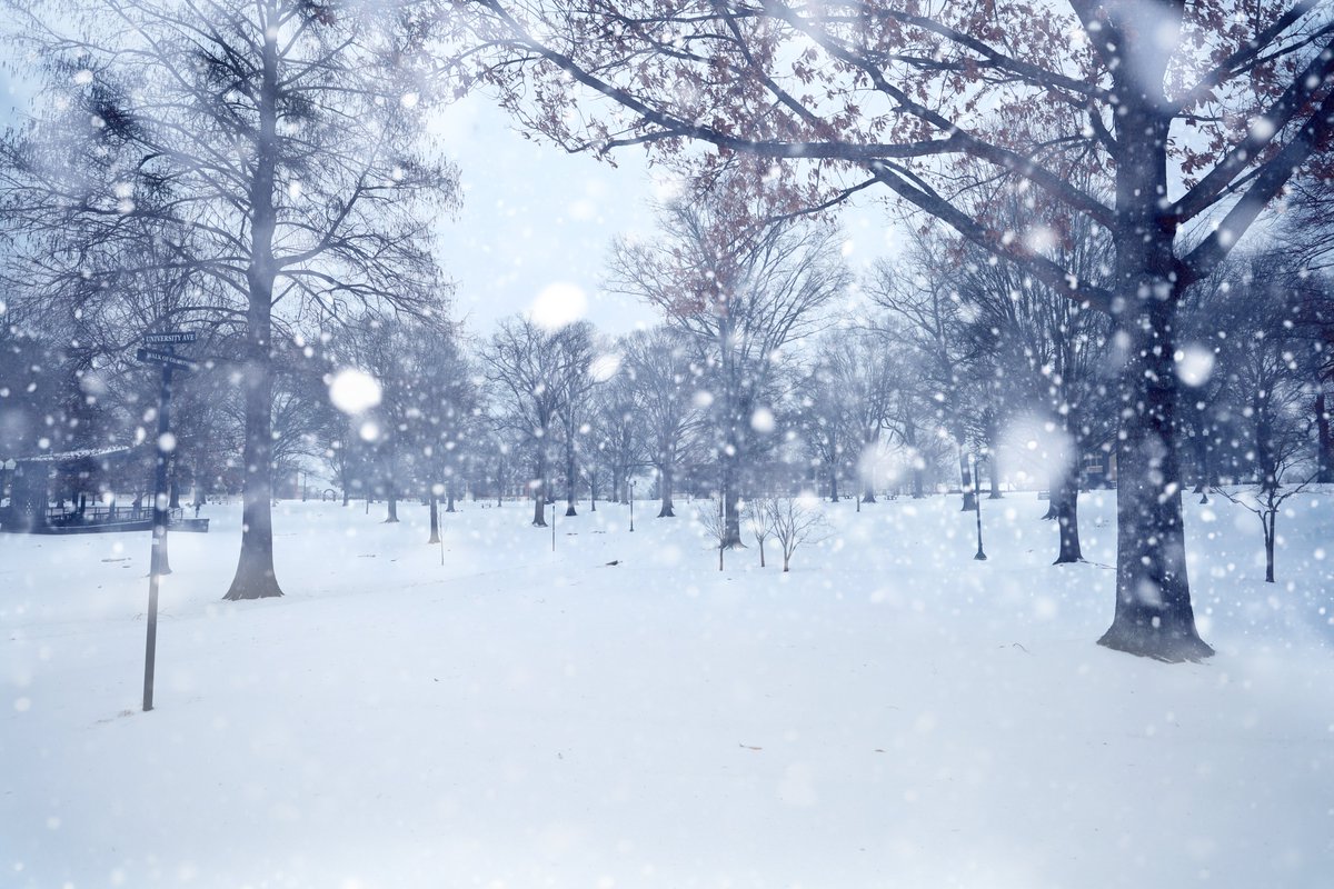 Joshua Taylor McCoy tweet media