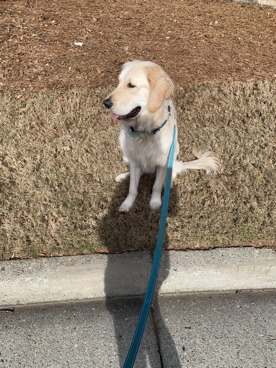 ryoo_math's tweet photo. Day 15- nice day off to get some steps in #thefaveway https://t.co/3W4CZWLY3F