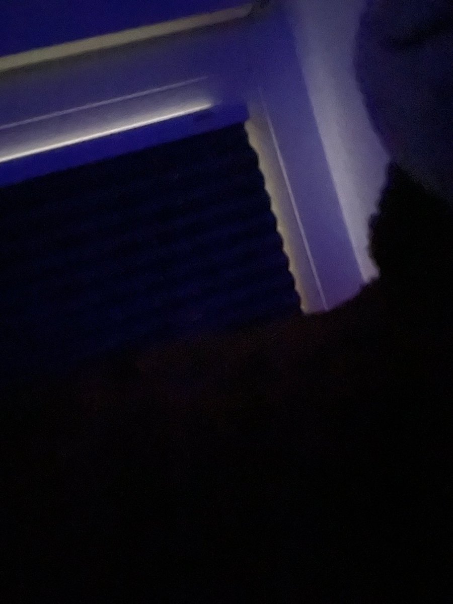KimLost_96's tweet photo. @buxdahude Liege seit 18 Std im Bett, 17 Std davon geschlafen 🛏️ https://t.co/MEcIwZYled