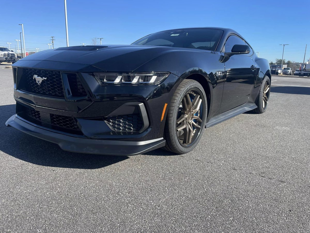 StarShieldSolu's tweet photo. @ddcustomssc built this 2024 Mustang GT 5.0L for D &amp; D Ford Motors. They tinted the windows with @3mfilms 15% window tint supplied by Star Shield Solutions. 

Looking to add window tint to your arsenal? Get in touch with us at https://t.co/h88Ivmi2BJ. https://t.co/XrvXBIhNvs