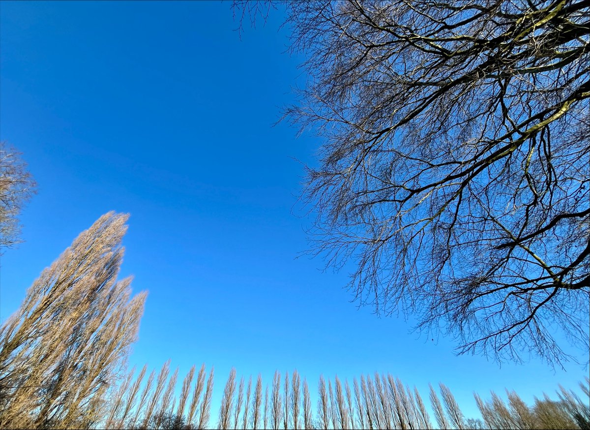 RamblersGB's tweet photo. The only kind of Blue Monday we’re interested in 💙❄️ 

We can’t predict when our most difficult Mondays, Tuesdays or Saturdays will arrive, but studies show that a walk in nature can be helpful when they do 🥾🌲 

Did you get outside today or this weekend? 📸👇 https://t.co/67cQiYbIYu