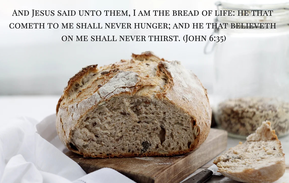 Jiri Novak tweet media