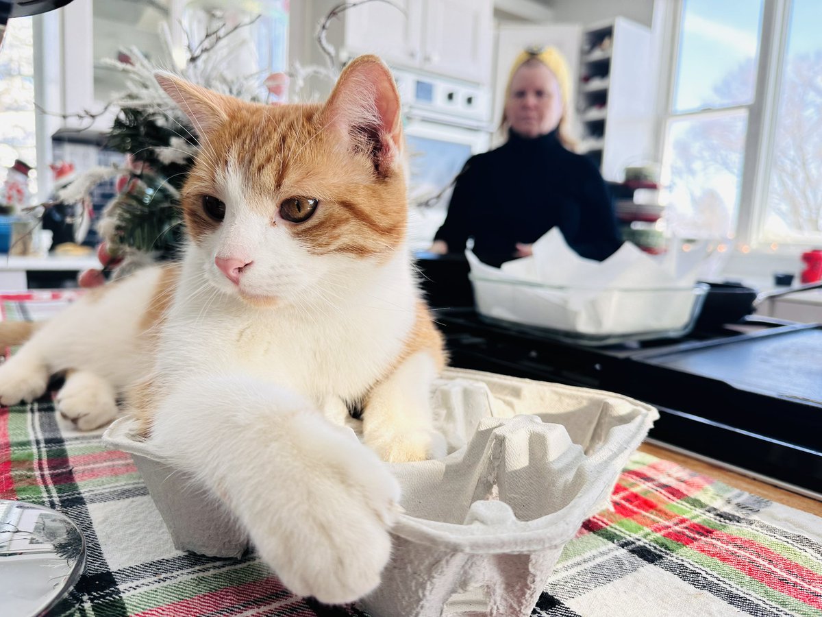 Kiersten Warren tweet media