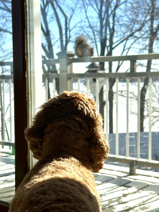 Patience is a virtue! https://t.co/aFLekipIoA<a href="/tag/mmselfie"class="tags"><span>#mmselfie</span></a>