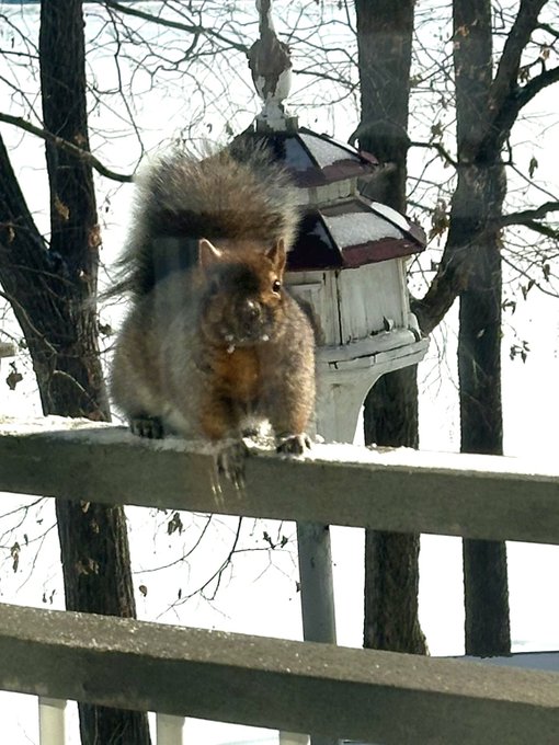 Patience is a virtue! https://t.co/aFLekipIoA<a href="/tag/mmselfie"class="tags"><span>#mmselfie</span></a>