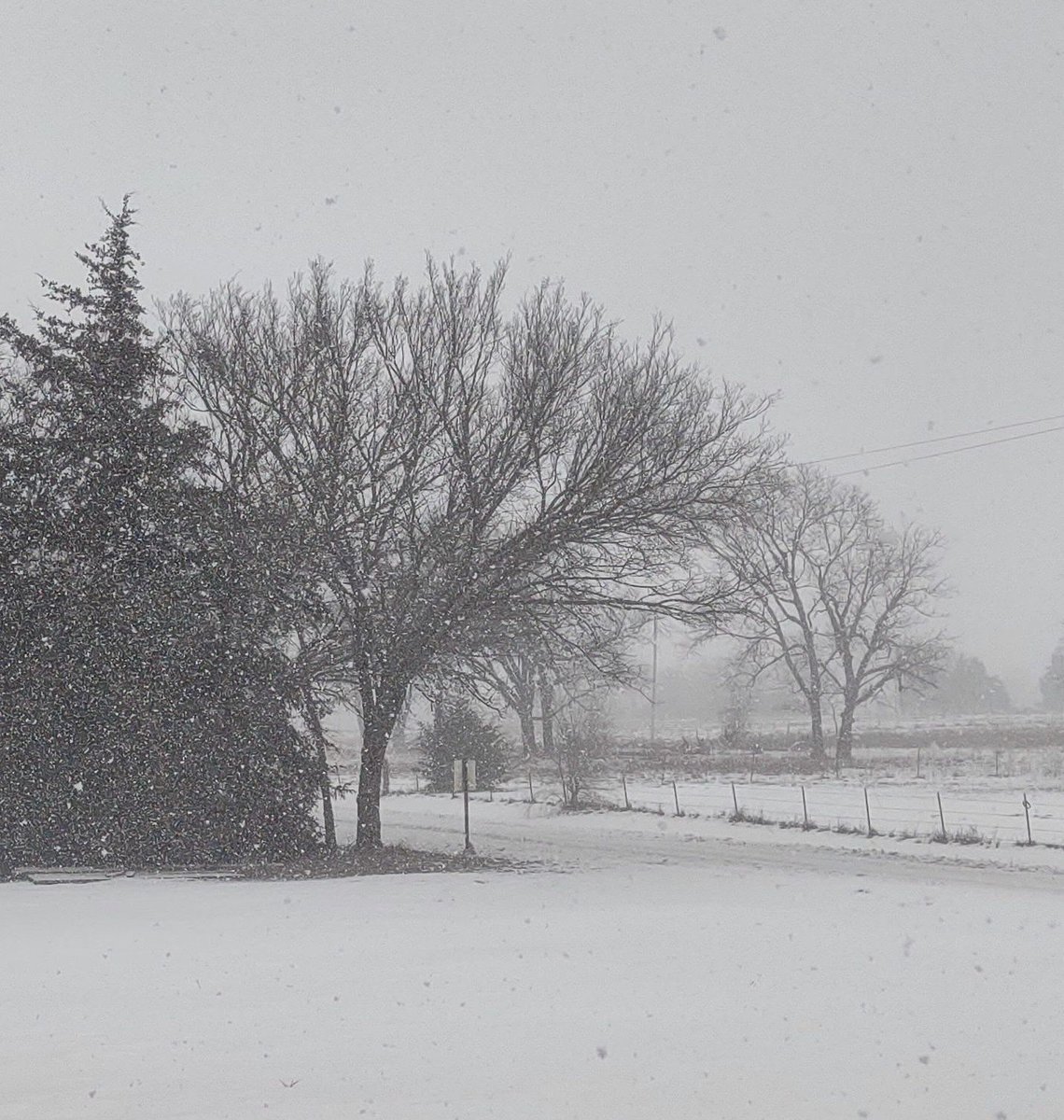 MoonRazor6's tweet image. This shit is getting Ridiculous!
Run to town for a few supplies, come out the store and it's fuckin' Snowing Again!
*Round 4!

#ImOverIt 
#GlobalWarmingMyAss 
#FuckThis 
#MyBallsAreCold 
#MovingToCostaRica 

🖕❄️
🖕🌬️
🖕🥶