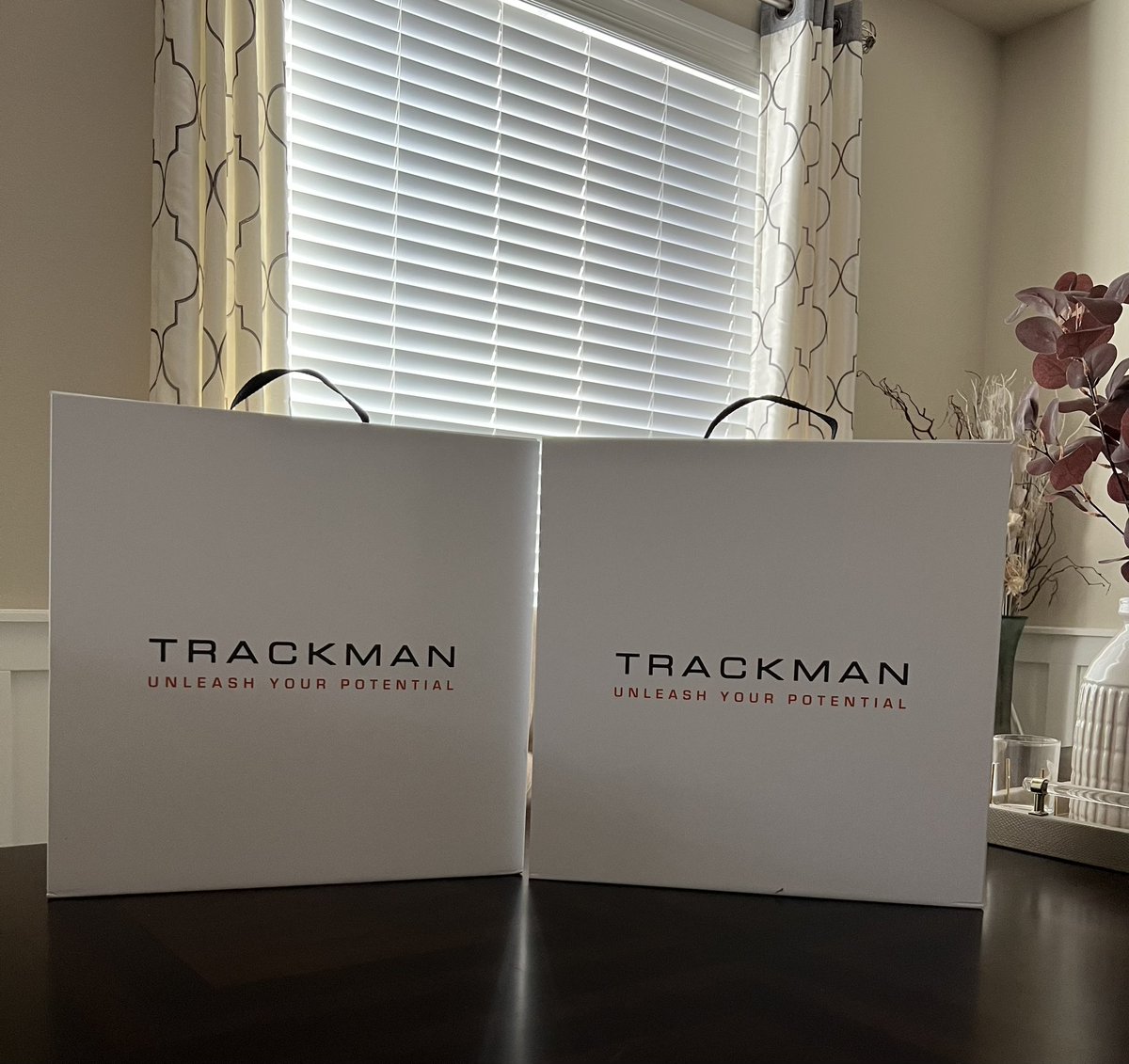 PNWBaseballDojo tweet media