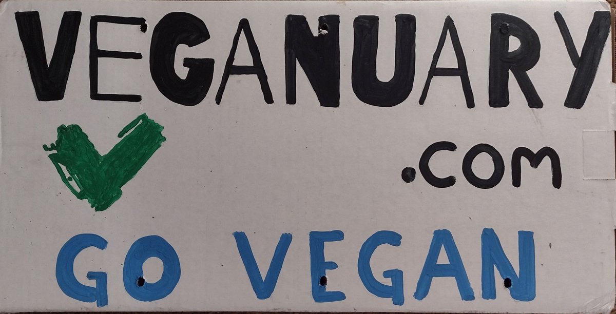 MKalmanovitch's tweet image. Today, I will be out with a local activist promoting #Veganuary - 4pm on Whyte and Gateway.
#ItMakesSense
#LaterIsTooLate