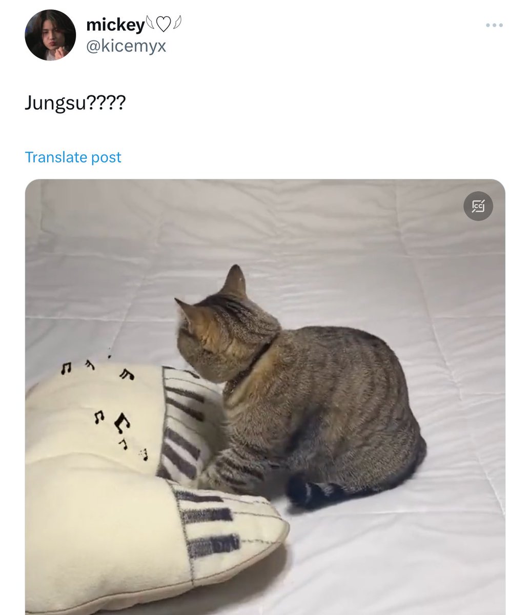 villains struggles (@deluluvillains) on Twitter photo 