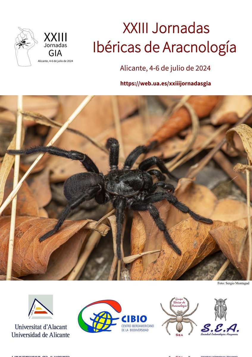 fercfossati's tweet photo. ¿Estamos listos? Estamos listos.  @UA_Universidad @IUCibio https://t.co/WTgiMhthu9
