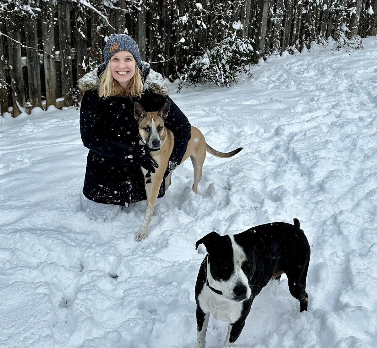 Polar pups! ❄️❄️❄️ #wilsonthemess #josiebug